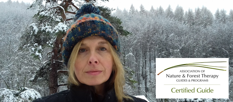 carina-greenwood-800x350